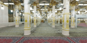 picture of Riaz ul Jannah